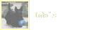 Info`s