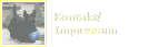 Kontakt/
Impressum