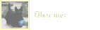 �ber uns