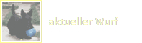 aktueller Wurf